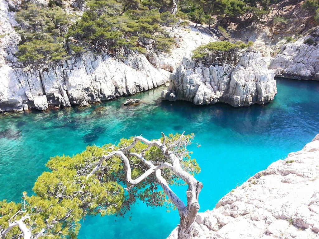 La Palmeraie Marsilya Dış mekan fotoğraf