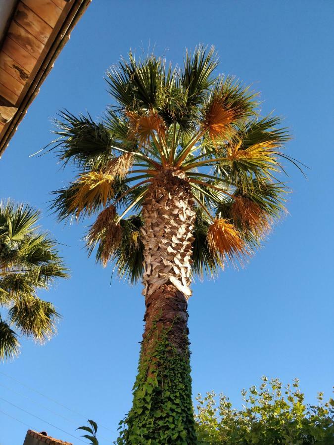 La Palmeraie Marsilya Dış mekan fotoğraf