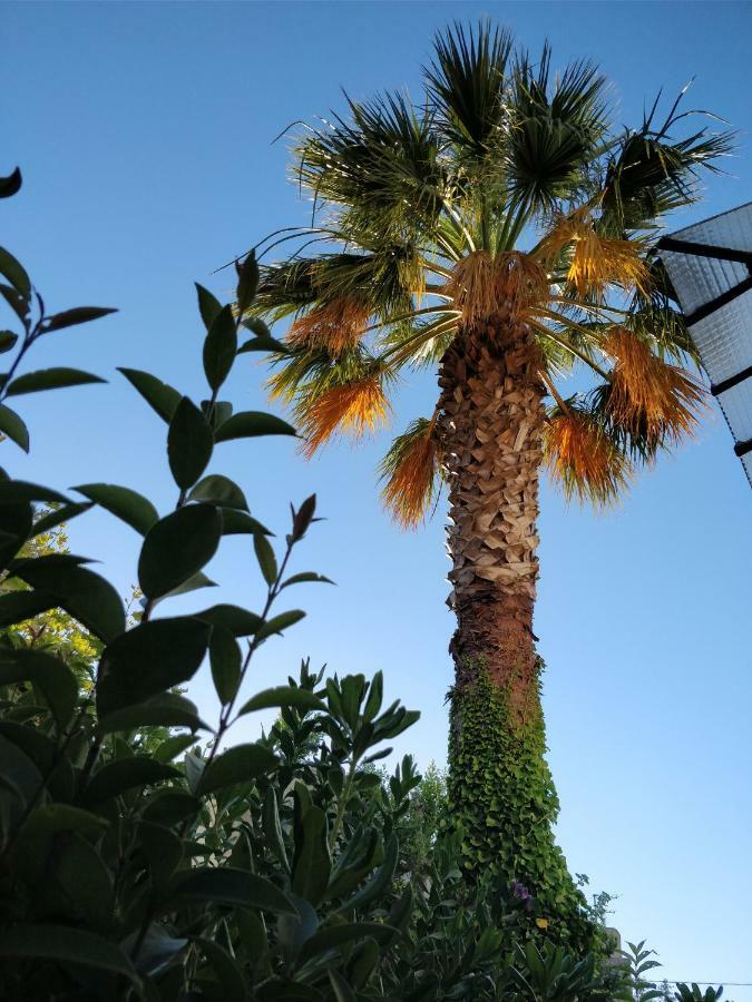 La Palmeraie Marsilya Dış mekan fotoğraf